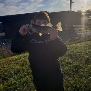 Meet your Posher, Austin